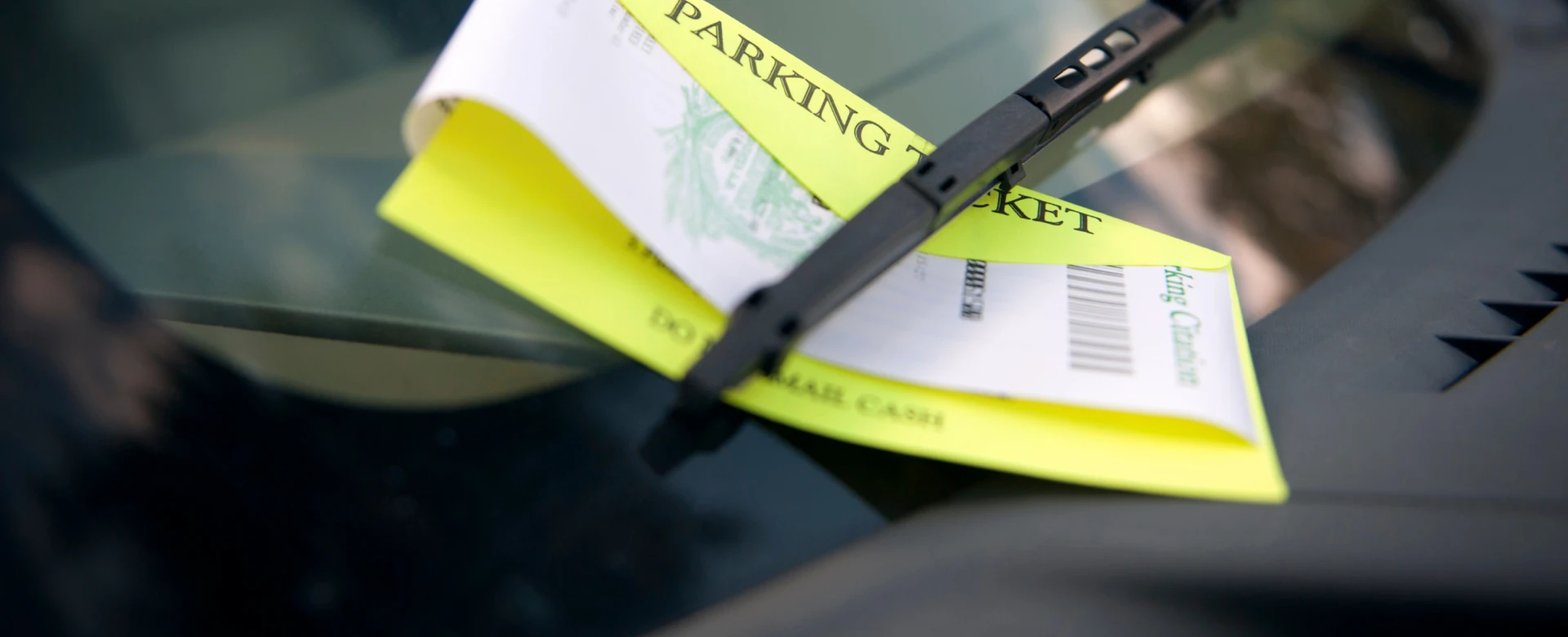 Traffic Warrant Bonds 1